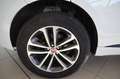 Jaguar F-Pace F-PACE R-Sport AWD/AHK/Full LINK/KAMERA Weiß - thumbnail 37