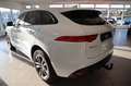Jaguar F-Pace F-PACE R-Sport AWD/AHK/Full LINK/KAMERA Weiß - thumbnail 7