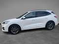 Ford Kuga 1.5 EcoBlue 120 CV 2WD ST-Line Wit - thumbnail 2