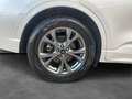 Ford Kuga 1.5 EcoBlue 120 CV 2WD ST-Line Wit - thumbnail 10