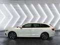 Skoda Octavia Combi 1.4 TSi Plug-In ''First Edition'' Rückfahrka Weiß - thumbnail 3