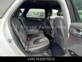 Ford Mondeo Turnier 2.0 TDCi ST-Line Aut. Stdhzg LED Weiß - thumbnail 16