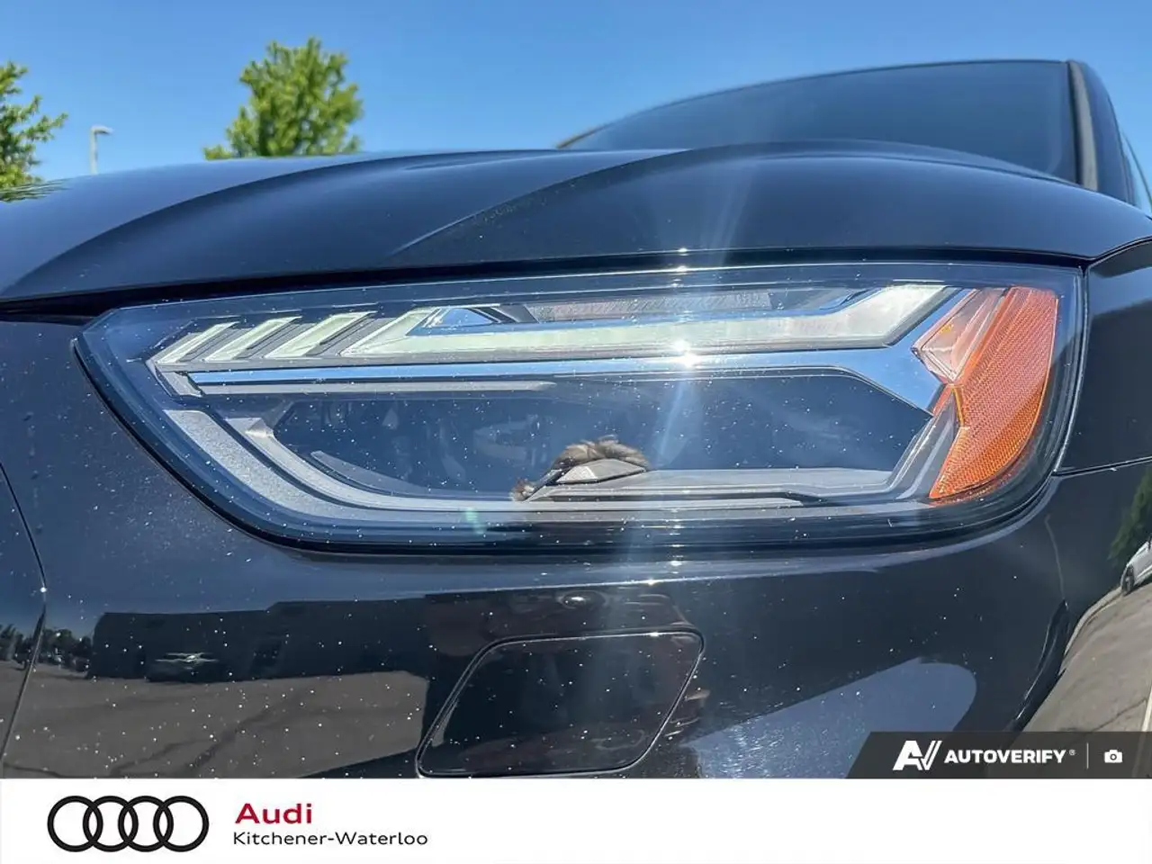 Audi SQ5 снимка Audi SQ5