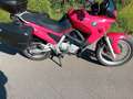 BMW F 650 Rouge - thumbnail 10