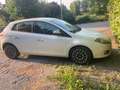Fiat Bravo Bravo II  1.4 16v MyLife 90cv Bianco - thumbnail 1