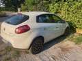 Fiat Bravo Bravo II  1.4 16v MyLife 90cv Bianco - thumbnail 3