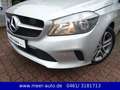 Mercedes-Benz A 200 d CDI Urban/Automatik/Leder/SHZ/Navi/AHK Silber - thumbnail 28