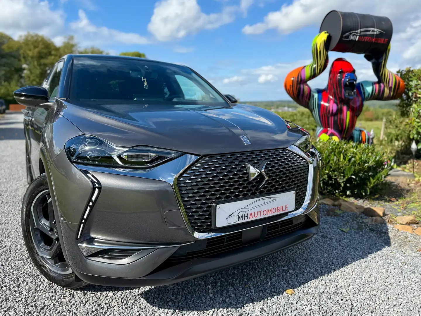 DS Automobiles DS 3 Crossback 1.5 BlueHDi Gris - 1