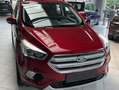Ford Kuga 1.5 EcoBoost FWD Titanium (EU6.2) Rouge - thumbnail 1