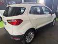 Ford EcoSport 1.5 tdci Titanium 95cv NEOPATENTANTI Bianco - thumbnail 6