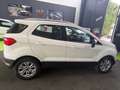 Ford EcoSport 1.5 tdci Titanium 95cv NEOPATENTANTI Bianco - thumbnail 5