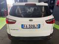 Ford EcoSport 1.5 tdci Titanium 95cv NEOPATENTANTI Bianco - thumbnail 7