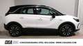 Opel Crossland 1.5 ECOTEC D 110 CV Start&Stop Elegance Bianco - thumbnail 2