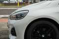 BMW 220 2-serie Active Tourer 220i Executive Edition | M P Wit - thumbnail 29