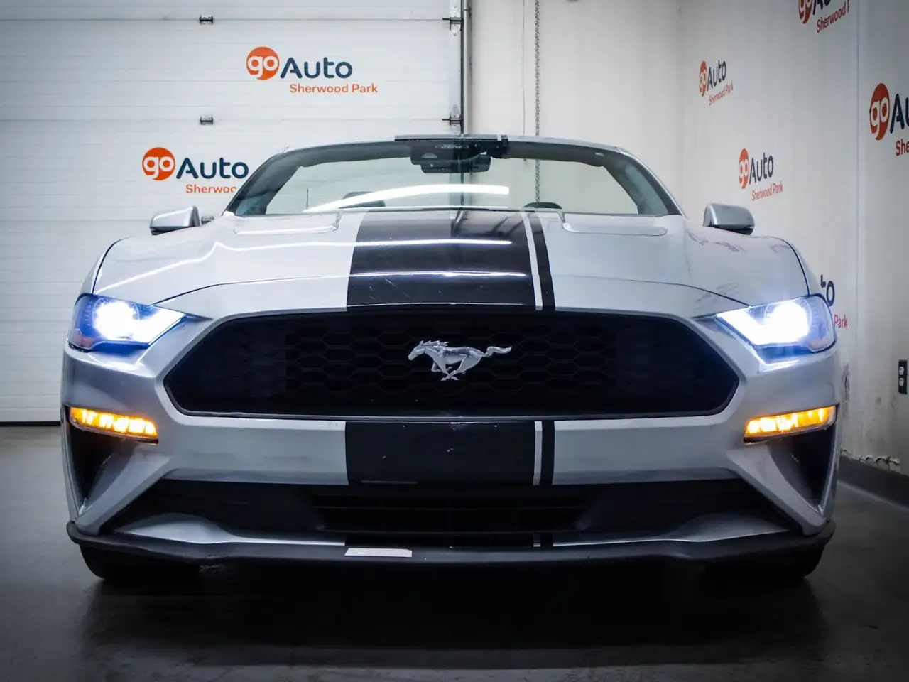 Ford Mustang photo Ford Mustang