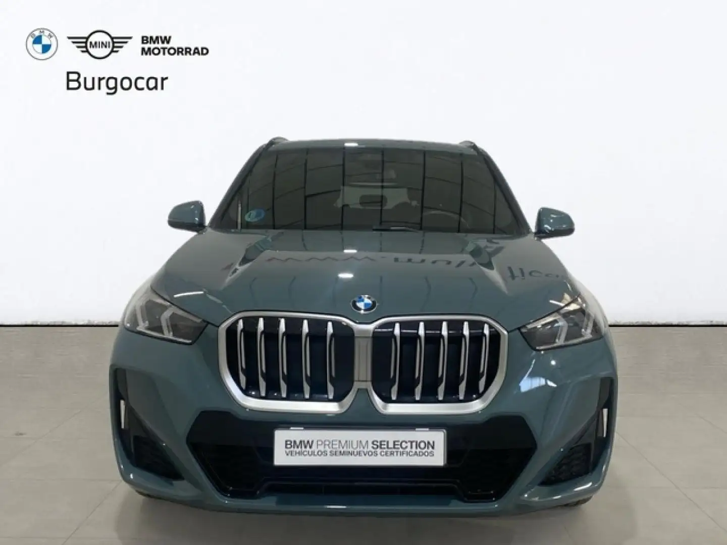 BMW X1 xDrive 20dA Vert - 2