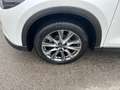 Mazda CX-5 CX-5 G165 e-Skyactiv MHEV Exclusive-Line Exclusive Weiß - thumbnail 2