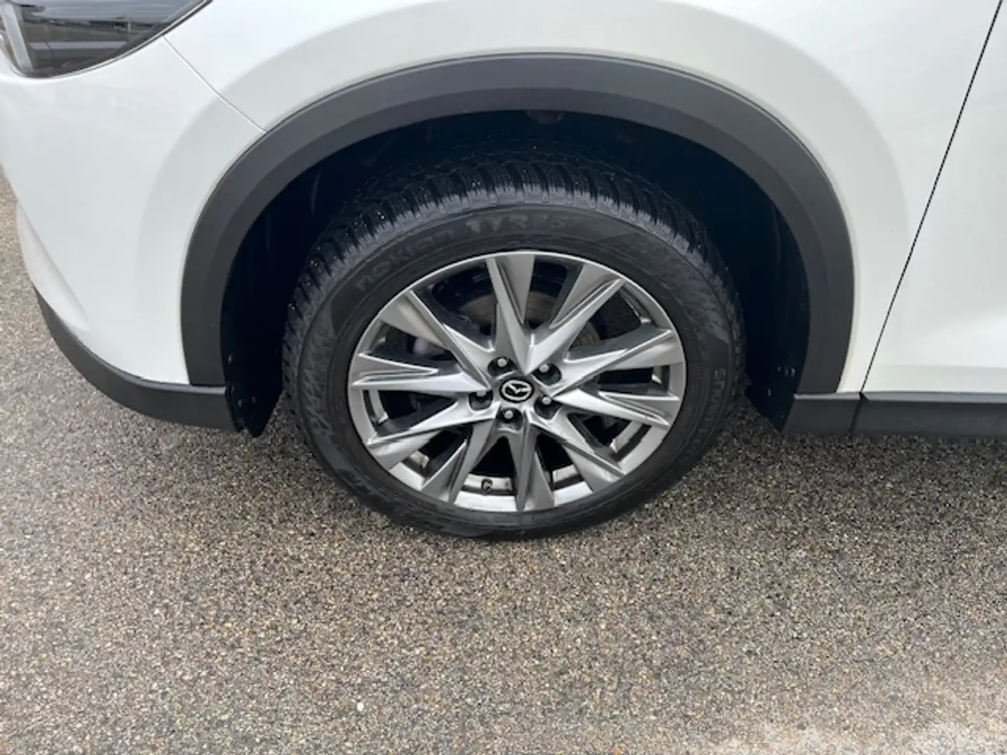Mazda CX-5 CX-5 G165 e-Skyactiv MHEV Exclusive-Line Exclusive Weiß - 2