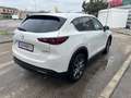 Mazda CX-5 CX-5 G165 e-Skyactiv MHEV Exclusive-Line Exclusive Weiß - thumbnail 3