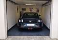 Ford Mustang Mustang Fastback Fastback 5.0 Ti-VCT V8 BULLITT Grün - thumbnail 8
