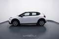 Citroen C3 1.2 PureTech 82cv S&S Business Bílá - thumbnail 3
