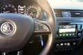 Skoda Rapid/Spaceback Rapid Spaceback 1.4 TSI Xenon Tempomat PDC SHZ Grau - thumbnail 19