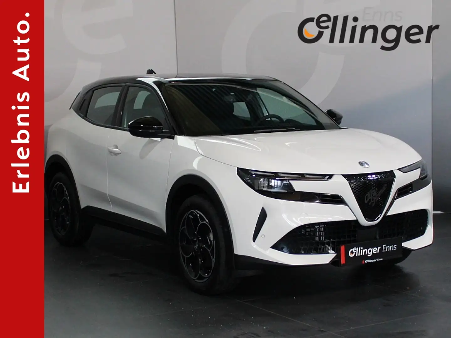 Alfa Romeo Junior Ibrida Weiß - 1