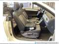 Volkswagen T-Roc 1.0 TSI Move Navi Kamera ACC LED Weiß - thumbnail 5