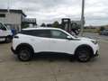 Peugeot 2008 1.5 Hdi Weiß - thumbnail 6