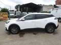 Peugeot 2008 1.5 Hdi Weiß - thumbnail 10