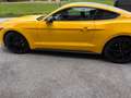 Ford Mustang Mustang 2,3 EcoBoost Cabrio Gelb - thumbnail 8