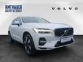 Volvo XC60 T6 Plus Bright  AWD 360°/H&K/Pano Weiß - thumbnail 3