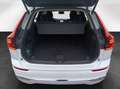 Volvo XC60 T6 Plus Bright  AWD 360°/H&K/Pano Weiß - thumbnail 17
