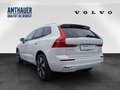 Volvo XC60 T6 Plus Bright  AWD 360°/H&K/Pano Weiß - thumbnail 4