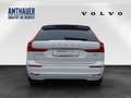 Volvo XC60 T6 Plus Bright  AWD 360°/H&K/Pano Weiß - thumbnail 5