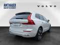 Volvo XC60 T6 Plus Bright  AWD 360°/H&K/Pano Weiß - thumbnail 6