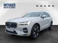 Volvo XC60 T6 Plus Bright  AWD 360°/H&K/Pano Weiß - thumbnail 1