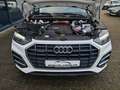 Audi Q5 50 TFSI e quattro - VIRTUAL - AHK - 8 x ALU Weiß - thumbnail 23