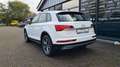 Audi Q5 50 TFSI e quattro - VIRTUAL - AHK - 8 x ALU Weiß - thumbnail 5