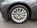 BMW 525 Serie 5 F11 Touring 525d Touring Luxury E6 Gris - thumbnail 20