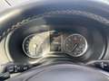 Mercedes-Benz Vito Tourer Pro 116 CDI extralang 4x4 Aut. Gris - thumbnail 10