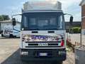 Iveco Білий - thumbnail 3