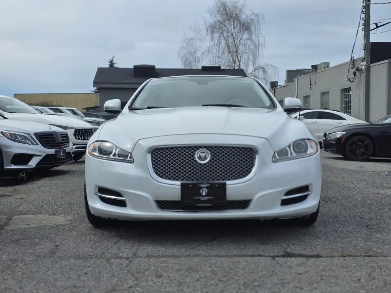 Jaguar XJ photo Jaguar XJ