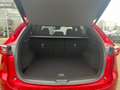 Mazda CX-5 Homura, Navi, 360° Kamera, AT Rot - thumbnail 12