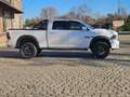Dodge RAM Sport, 5.7 HEMI, Crew, Longbed,LPG Weiß - thumbnail 10