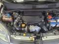 Fiat Panda 1.3 mjt 16v Pop 75cv E5+ - thumbnail 13