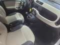 Fiat Panda 1.3 mjt 16v Pop 75cv E5+ - thumbnail 12