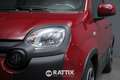 Fiat Panda Pandina 1.0 Firefly Hybrid 70CV Cross Rosso - thumbnail 3