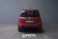 Fiat Panda Pandina 1.0 Firefly Hybrid 70CV Cross Rosso - thumbnail 5