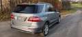 Mercedes-Benz ML 250 M-Klasse Diesel BlueTEC 4MATIC 7G-TRONIC Silber - thumbnail 3